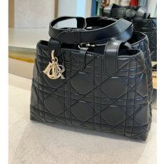 DIOR 디올 뚜주흐 미디엄백