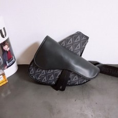 디* CD Diamond 캔버스 새들백